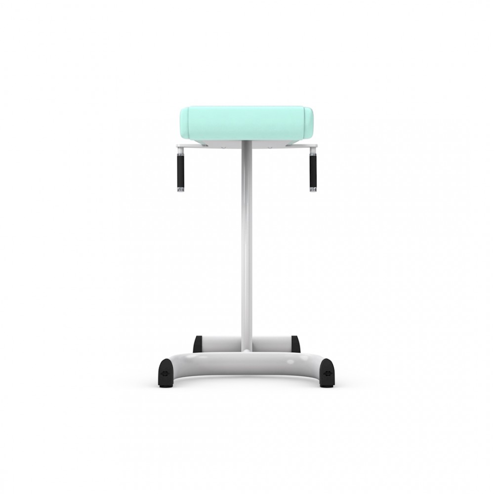 med80_3233_gesaessmuskelbank_back.jpg