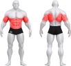 4031_BASIC ABDOMINAL FLEXOR WITH CHINNING BAR.png