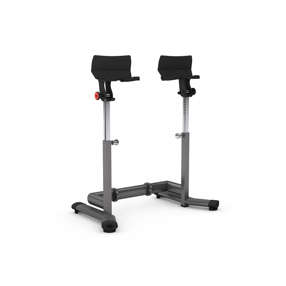gym80_4271_basic_dumbbell_spotter_overviewp.jpg