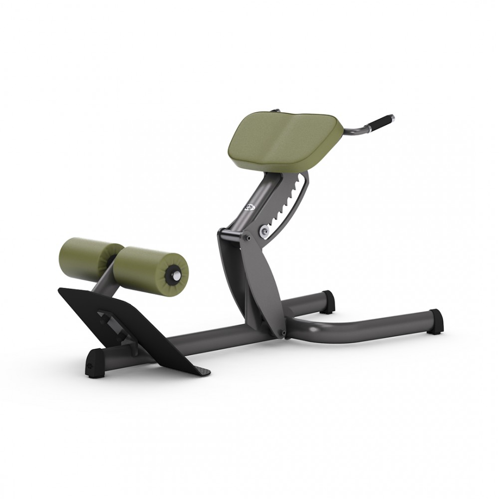 gym80_4119_basic_45-back_extension_overview.jpg