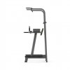 gym80_4031_basic_abdominal_flexor_with_chinning_bar_side.jpg