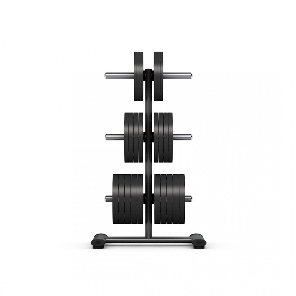 gym80_4052_disc_stand_with_front.jpg