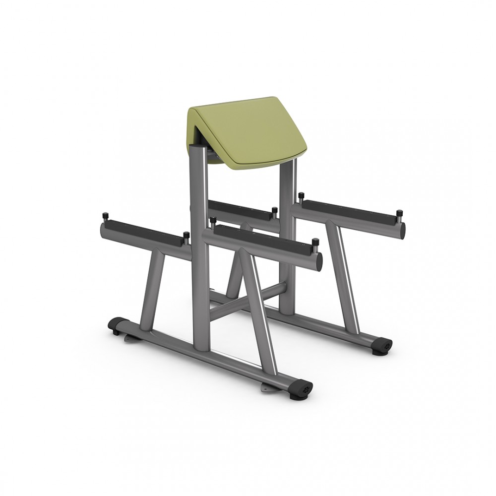 gym80_4019_basic_standing_scott_curl_overviewp.jpg