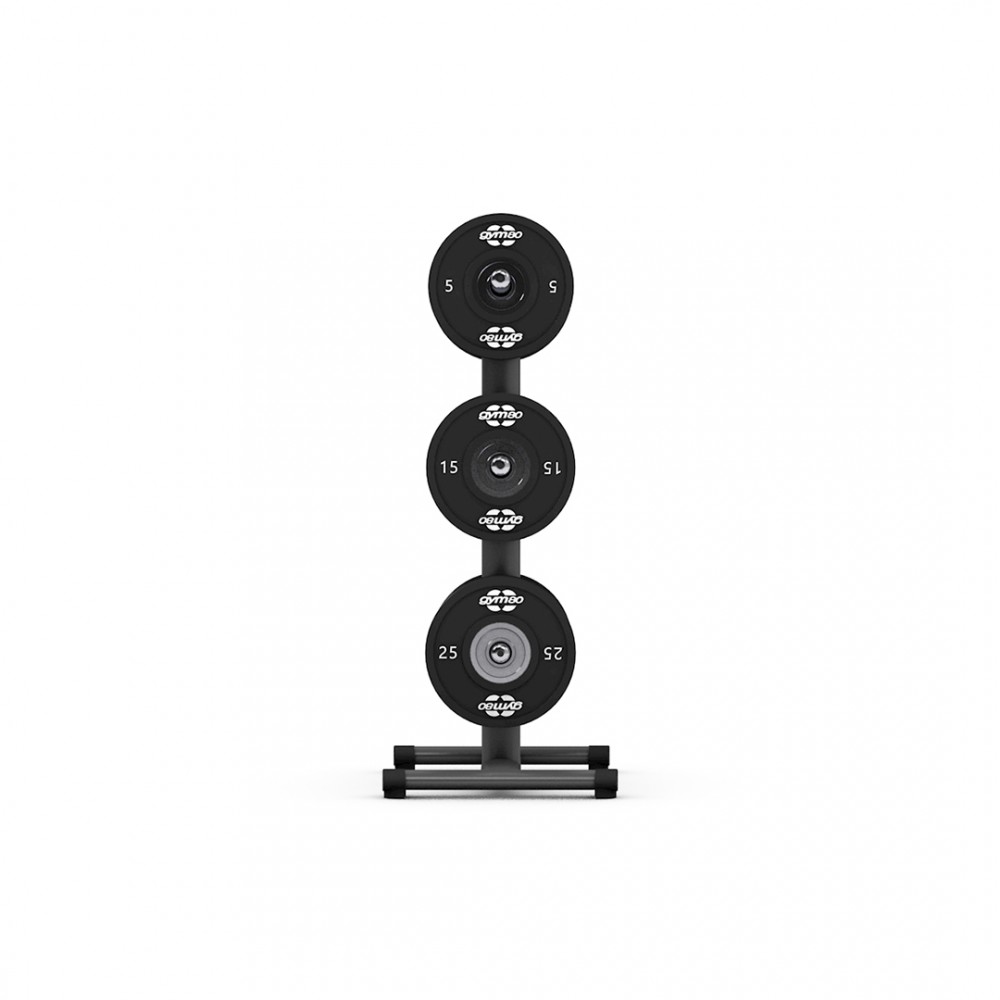 gym80_4052_disc_stand_with_side.jpg
