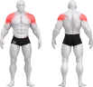 4385_PURE KRAFT STANDING SHOULDER LATERAL RAISE.png