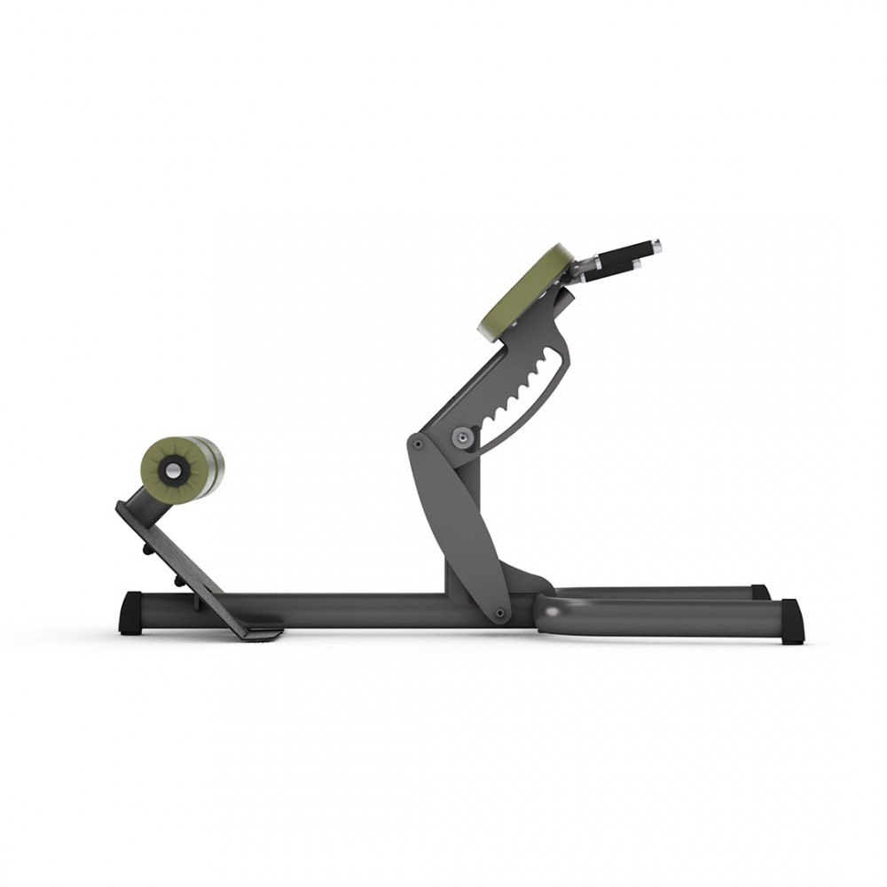 gym80_4119_basic_45-back_extension_side.jpg