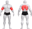 4370_BASIC DUMBBELL ROW BENCH.png