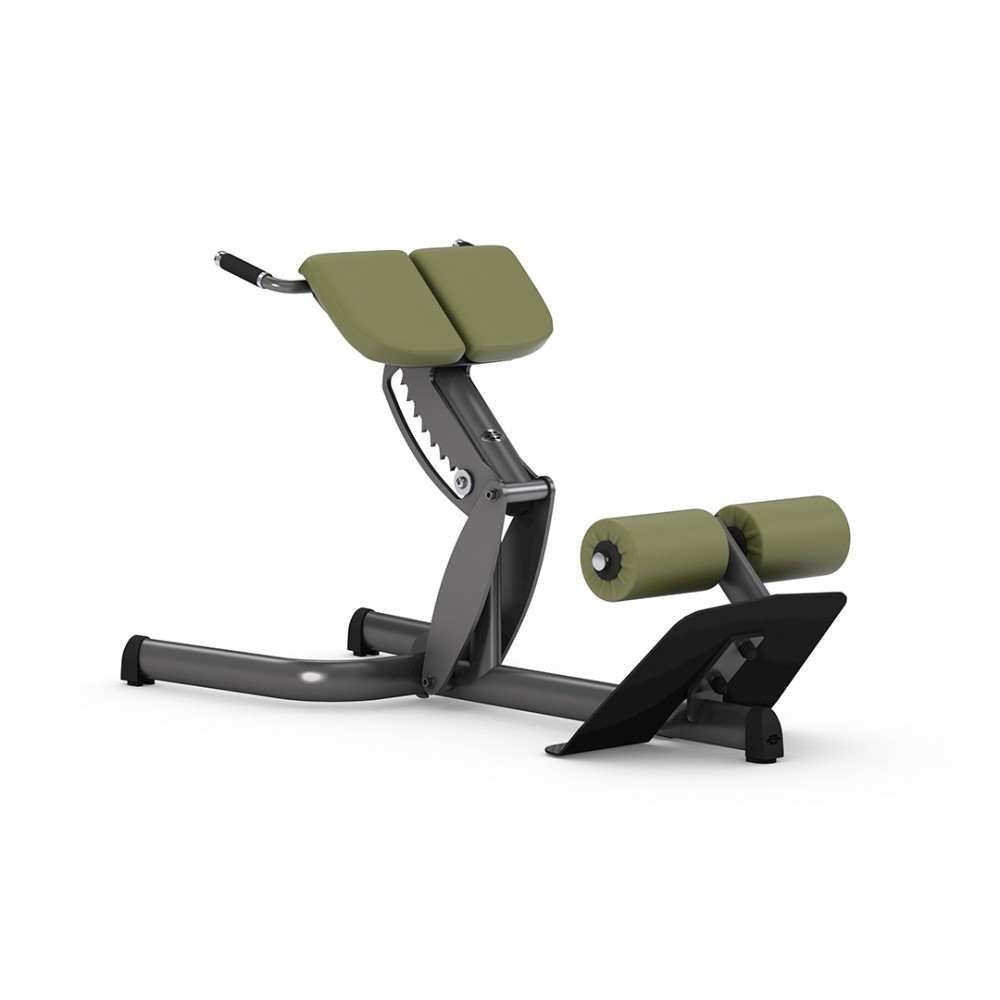 gym80_4119_basic_45-back_extension_overviewp.jpg