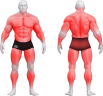 4094_BASIC SQUAT RACK.png