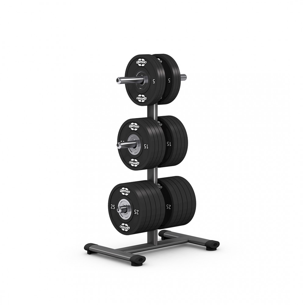 gym80_4052_disc_stand_with_overviewp.jpg