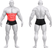 4107_BASIC DECLINE BENCH.png